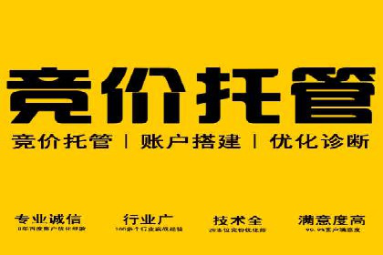 SEM托管案例分析：品牌如何快速崛起